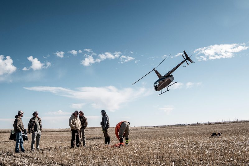 guardian-fund-elk-collaring-nebraska-helicopter-aid-in-collaring